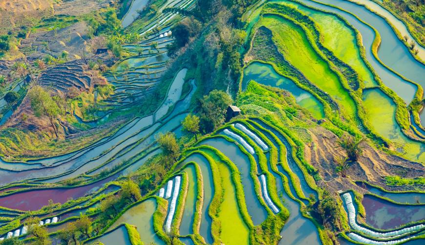 应城市广告片拍摄公司数字技术驱动的广告革命